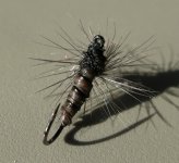 IMG_1445.jpg