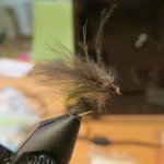 Caddis.jpg