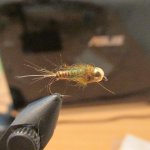 IMG_1961_1.jpg