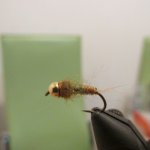 IMG_1965_1.jpg