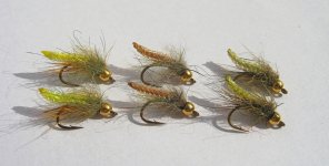 caddis pupa v2.jpg