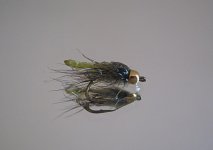 caddis pupa 1v.jpg