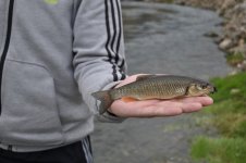DSC_0023.jpg
