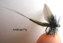 Artificial-Mayfly.jpg