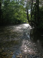 IMG_6267-800.JPG
