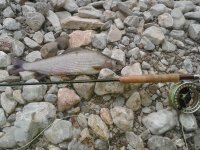 20150513_192536.jpg