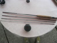 IMG_2347.jpg