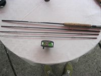 IMG_2348.jpg