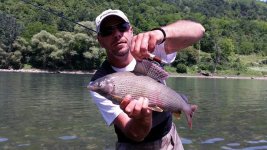 drina.jpg