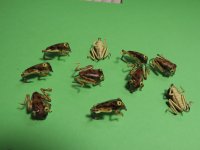 IMG_1316.JPG