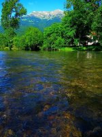 IMG_1775.jpg
