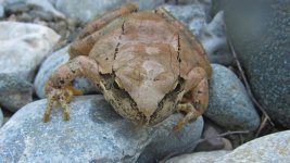 IMG_70401024.JPG