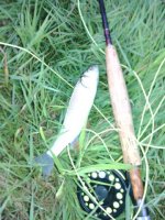 IMG_20150804_8810.jpg