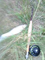 IMG_20150804_38819.jpg