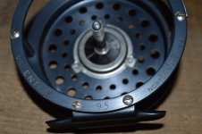 DSC_6135.JPG