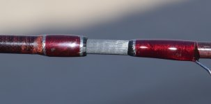 CSC_8114.JPG