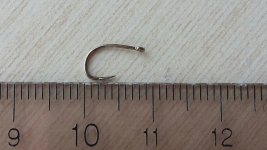 20150729_124304.jpg