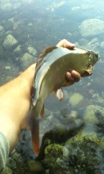 IMG_20151005_175340.jpg