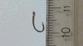 20151022_135400.jpg