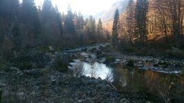 bohinjka novembar.jpg