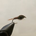 IMG_2795.JPG