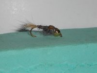 RSCN0102.JPG