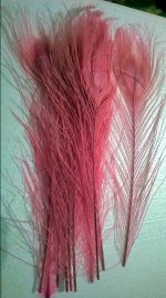 Pink paun.jpg
