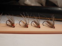 RSCN0449.JPG