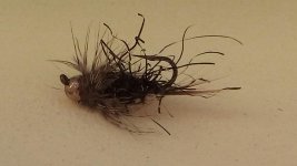 20160214_131017.jpg