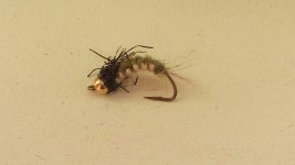 20160214_130913.jpg