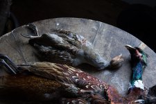 IMG_6886.jpg