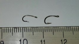 20160309_223408.jpg