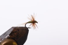 IMG_7856.jpg