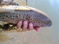 IMG_20160316_150726.jpg