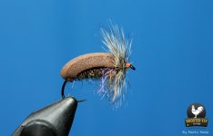 Braon buba..#10.jpg