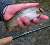 WP_20160321_12_05_19_Pro.jpg