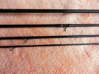 DSCN9050 (Medium).JPG