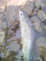 IMG_20160407_121015.jpg