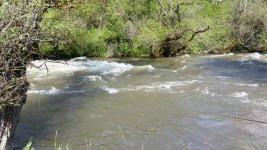 20160507_153056.jpg
