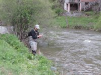 IMG_1426.JPG