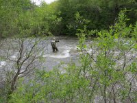 IMG_1418.JPG