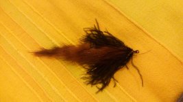 20160512_191156.jpg