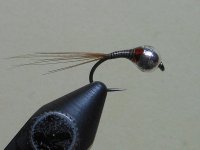 RSCN2829.JPG