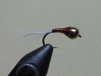 RSCN2831.JPG