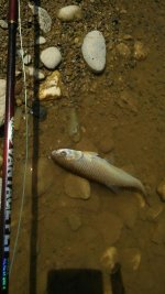 20160609_121352.jpg