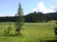 DSCN3341.JPG