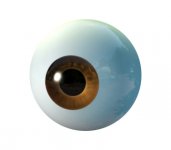 eye01.jpg