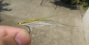 bucktail fox.jpg