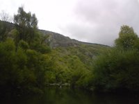 DSC00831.JPG