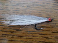 strimer 006 (Large).jpg